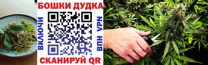 продажа наркотиков  Камень-на-Оби  Cannafood марихуана 