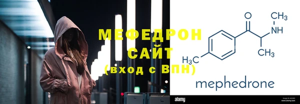 соль ск Дмитриев