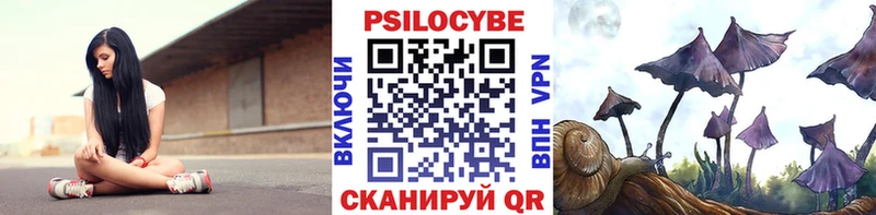 Галлюциногенные грибы мицелий Камень-на-Оби